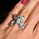 Metamorphosis of Light Ring