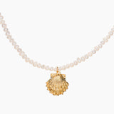 Gold Shell Pearl Choker
