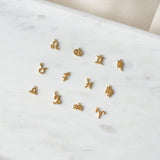 Lili Zodiac Necklace