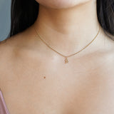 Lili Zodiac Necklace